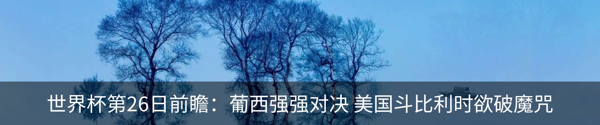 内页banner